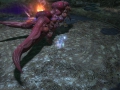 ffxiv_18022020_204735_763