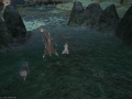 ffxiv_18022020_204848_245