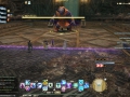ffxiv_18022020_205147_794