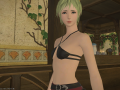 ffxiv_01022016_150906