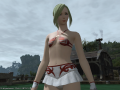 ffxiv_01072015_173222