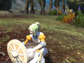 ffxiv_01072015_182818