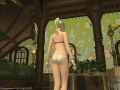 ffxiv_01072015_232048