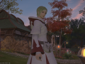 ffxiv_03022016_230726