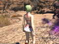 ffxiv_03092015_175809