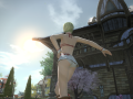 ffxiv_03122015_170631
