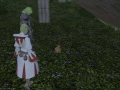 ffxiv_04022016_163726