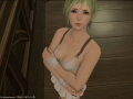 ffxiv_04102015_144756