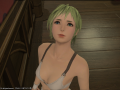 ffxiv_04102015_144811