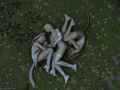ffxiv_05032017_174610