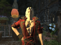 ffxiv_06032016_152233