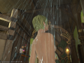ffxiv_07082015_023354