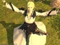 ffxiv_08082015_143115