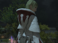 ffxiv_08102015_145752