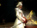 ffxiv_08112015_205321