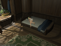 ffxiv_10072015_005313