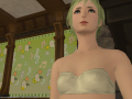 ffxiv_10082015_153457