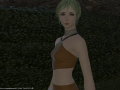 ffxiv_10082015_224104
