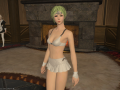 ffxiv_10122015_230701