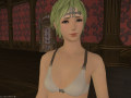 ffxiv_10122015_231445
