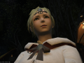 ffxiv_10122015_231652
