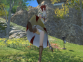 ffxiv_11032016_123639