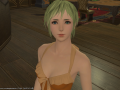 ffxiv_11082015_185831
