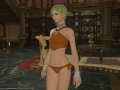 ffxiv_11082015_192100