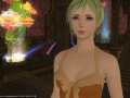 ffxiv_11082015_212346