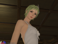 ffxiv_12102015_180940