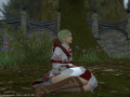 ffxiv_13112015_145640