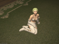 ffxiv_14022016_000627