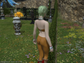 ffxiv_15092015_165941