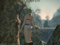 ffxiv_15092015_175032