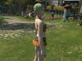 ffxiv_16082015_182705