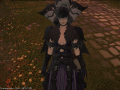 ffxiv_16092015_130321
