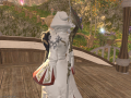 ffxiv_17062016_180847