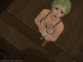 ffxiv_18092015_232547