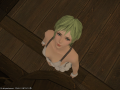 ffxiv_18092015_232553
