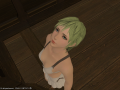 ffxiv_18092015_232606