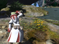 ffxiv_19062015_145818