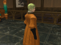 ffxiv_19082015_225731
