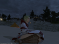 ffxiv_19112015_211425