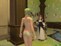 ffxiv_20112015_205631