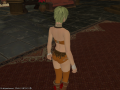ffxiv_21082015_130325