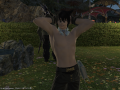 ffxiv_21102015_174531