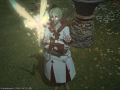 ffxiv_21102015_224334