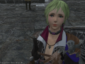 ffxiv_21112015_165423