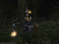 ffxiv_22102015_113302