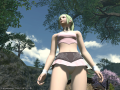 ffxiv_24072015_231559
